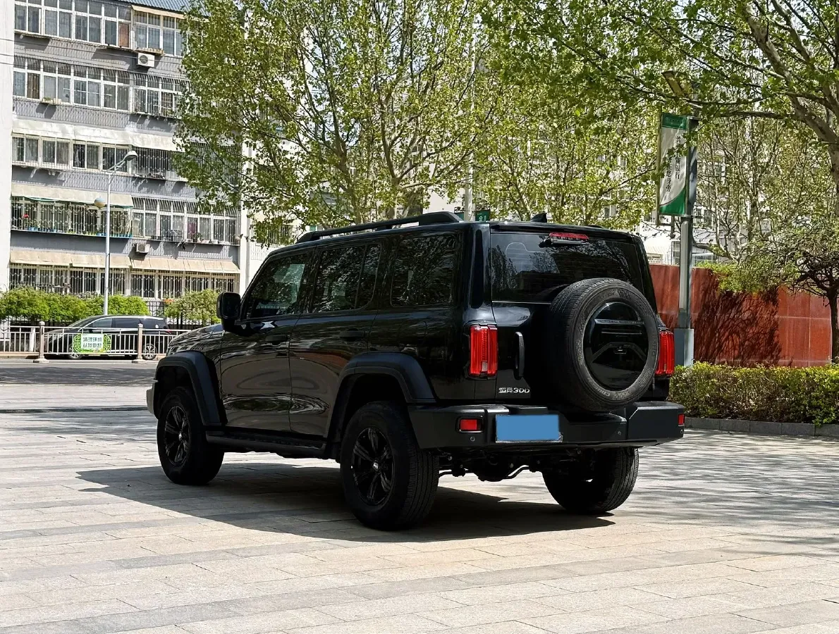 2021 Tank 300 2.0T 227HP L4 8AT,autocango,china used car exporter,china ev exporter,chinese used car exporter,chinese used ev exporter