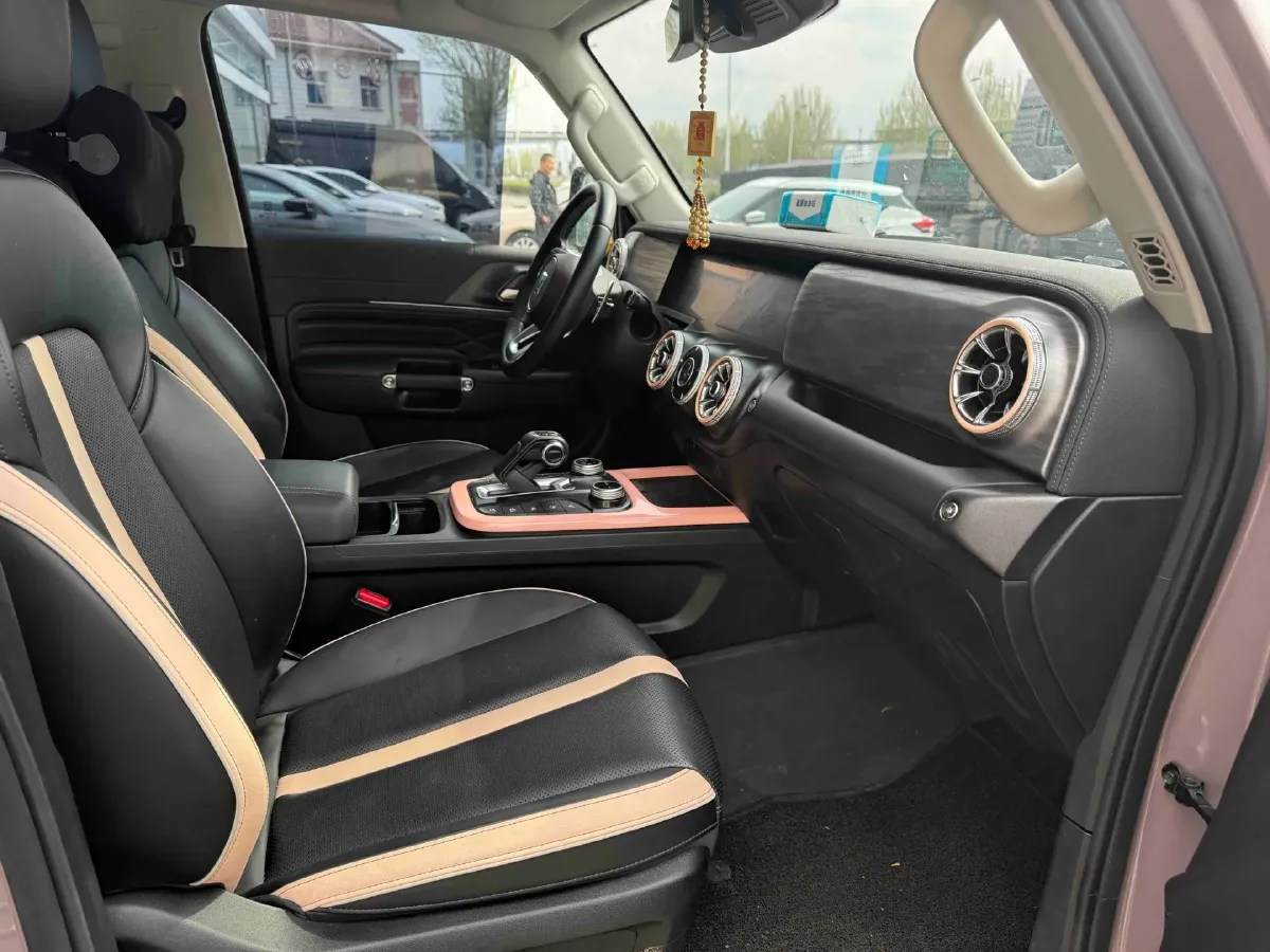 2021 Tank 300 2.0T 227HP L4 8AT,autocango,china used car exporter,china ev exporter,chinese used car exporter,chinese used ev exporter