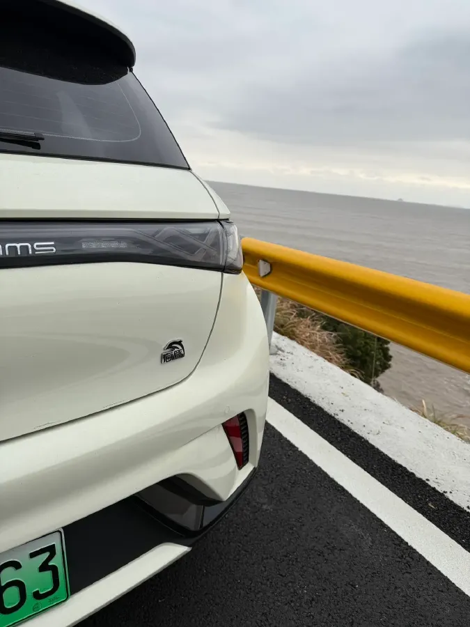 2023 BYD Dolphin BEV 44.928KWH,autocango,china used car exporter,china ev exporter,chinese used car exporter,chinese used ev exporter