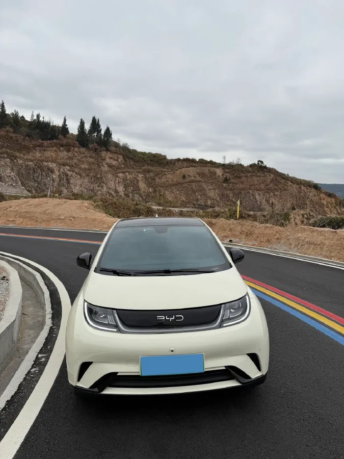 2023 BYD Dolphin BEV 44.928KWH,autocango,china used car exporter,china ev exporter,chinese used car exporter,chinese used ev exporter