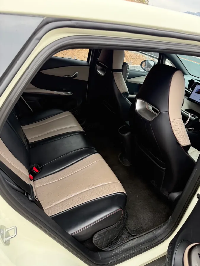 2023 BYD Dolphin BEV 44.928KWH,autocango,china used car exporter,china ev exporter,chinese used car exporter,chinese used ev exporter