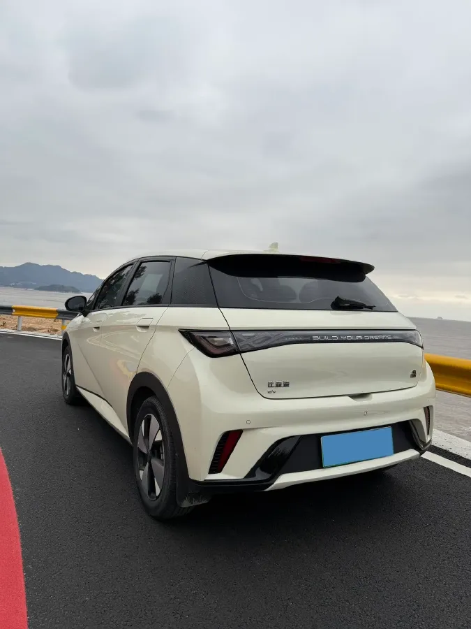 2023 BYD Dolphin BEV 44.928KWH,autocango,china used car exporter,china ev exporter,chinese used car exporter,chinese used ev exporter