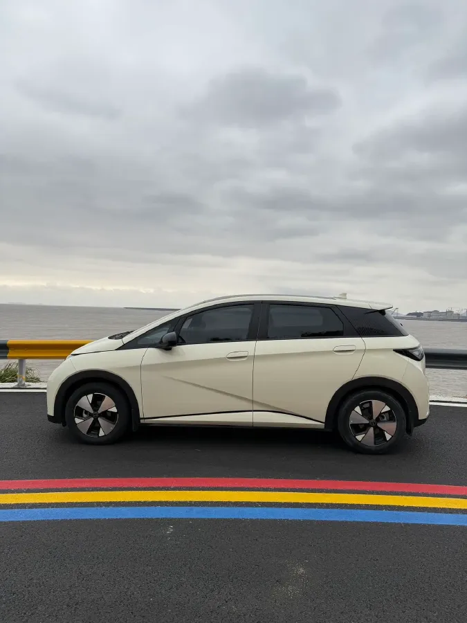 2023 BYD Dolphin BEV 44.928KWH,autocango,china used car exporter,china ev exporter,chinese used car exporter,chinese used ev exporter