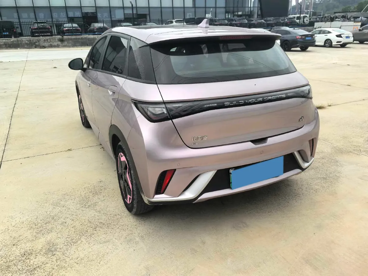 2021 BYD Yuan Pro BEV 50.1KWH,autocango,china used car exporter,china ev exporter,chinese used car exporter,chinese used ev exporter