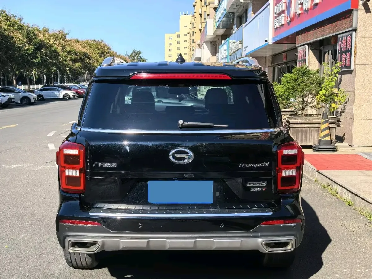 2020 GAC Trumpchi GS8 2.0T 252HP L4 6AT,autocango,china used car exporter,china ev exporter,chinese used car exporter,chinese used ev exporter