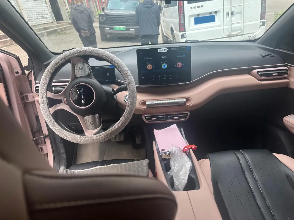 2024 BYD Seagull BEV 30.08KWH,autocango,china used car exporter,china ev exporter,chinese used car exporter,chinese used ev exporter