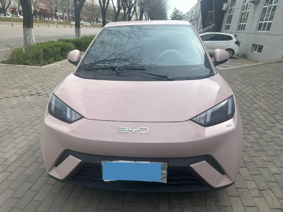 2024 BYD Seagull BEV 30.08KWH,autocango,china used car exporter,china ev exporter,chinese used car exporter,chinese used ev exporter