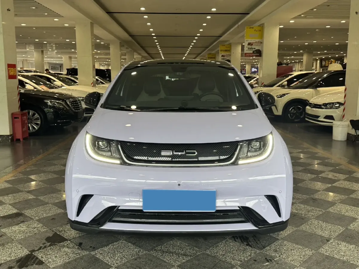 2023 BYD Dolphin BEV 44.928KWH,autocango,china used car exporter,china ev exporter,chinese used car exporter,chinese used ev exporter