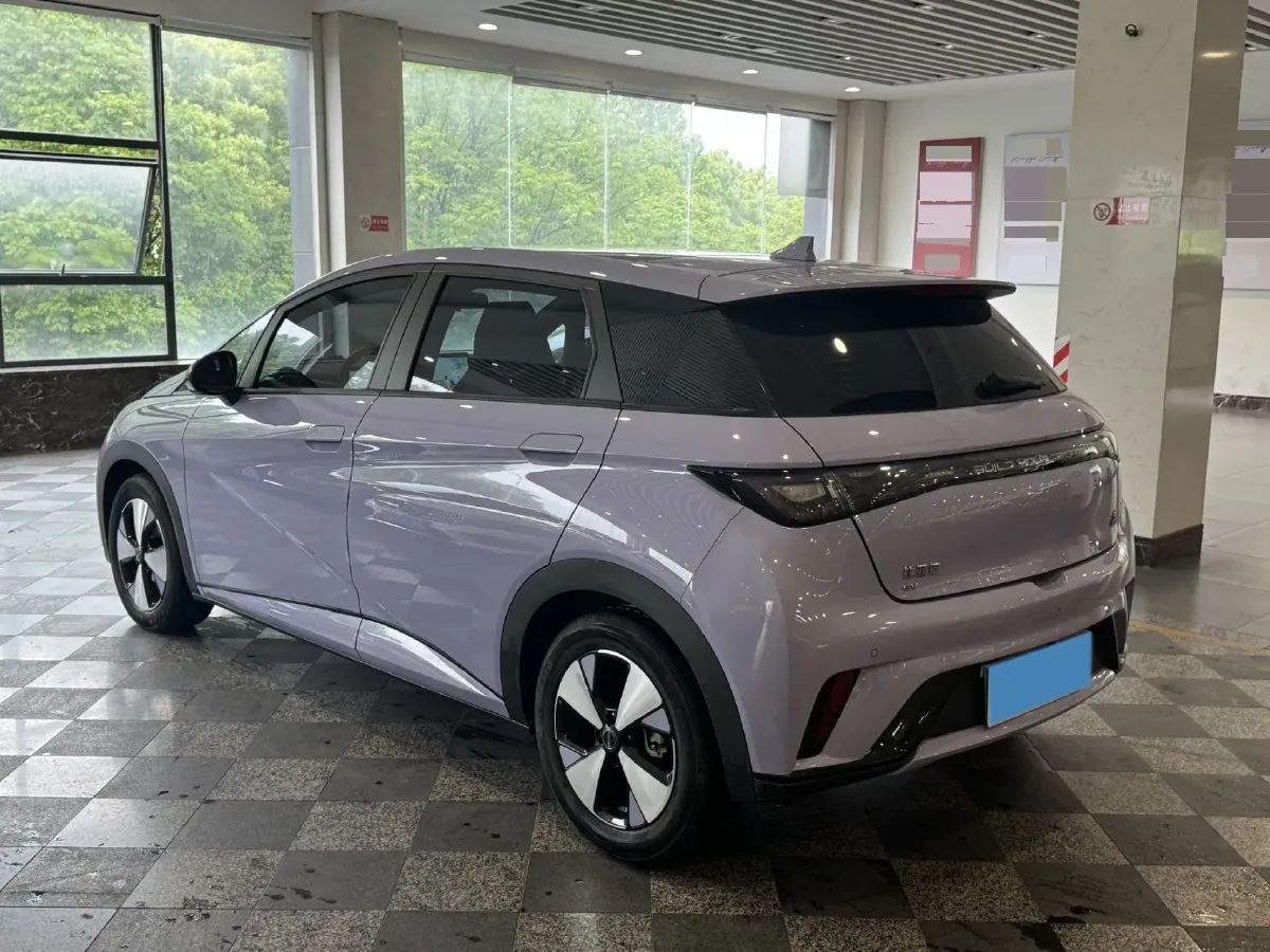 2023 BYD Dolphin BEV 44.928KWH,autocango,china used car exporter,china ev exporter,chinese used car exporter,chinese used ev exporter