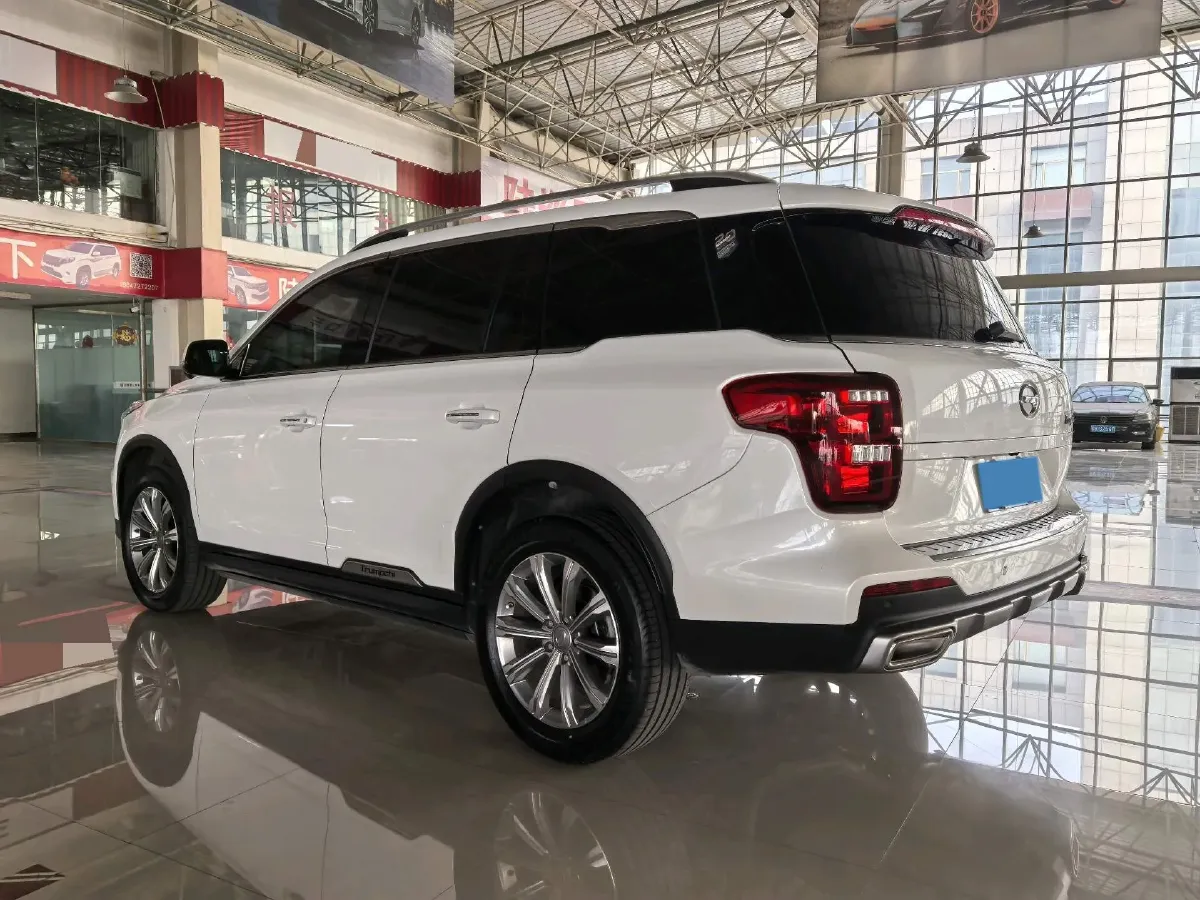 2020 GAC Trumpchi GS8 2.0T 252HP L4 6AT,autocango,china used car exporter,china ev exporter,chinese used car exporter,chinese used ev exporter