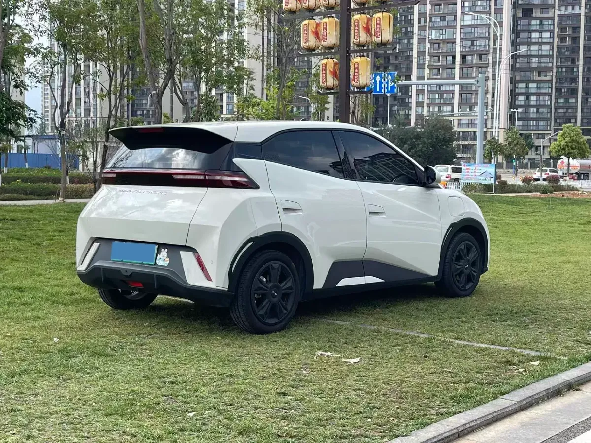 2024 BYD Seagull BEV 30.08KWH,autocango,china used car exporter,china ev exporter,chinese used car exporter,chinese used ev exporter