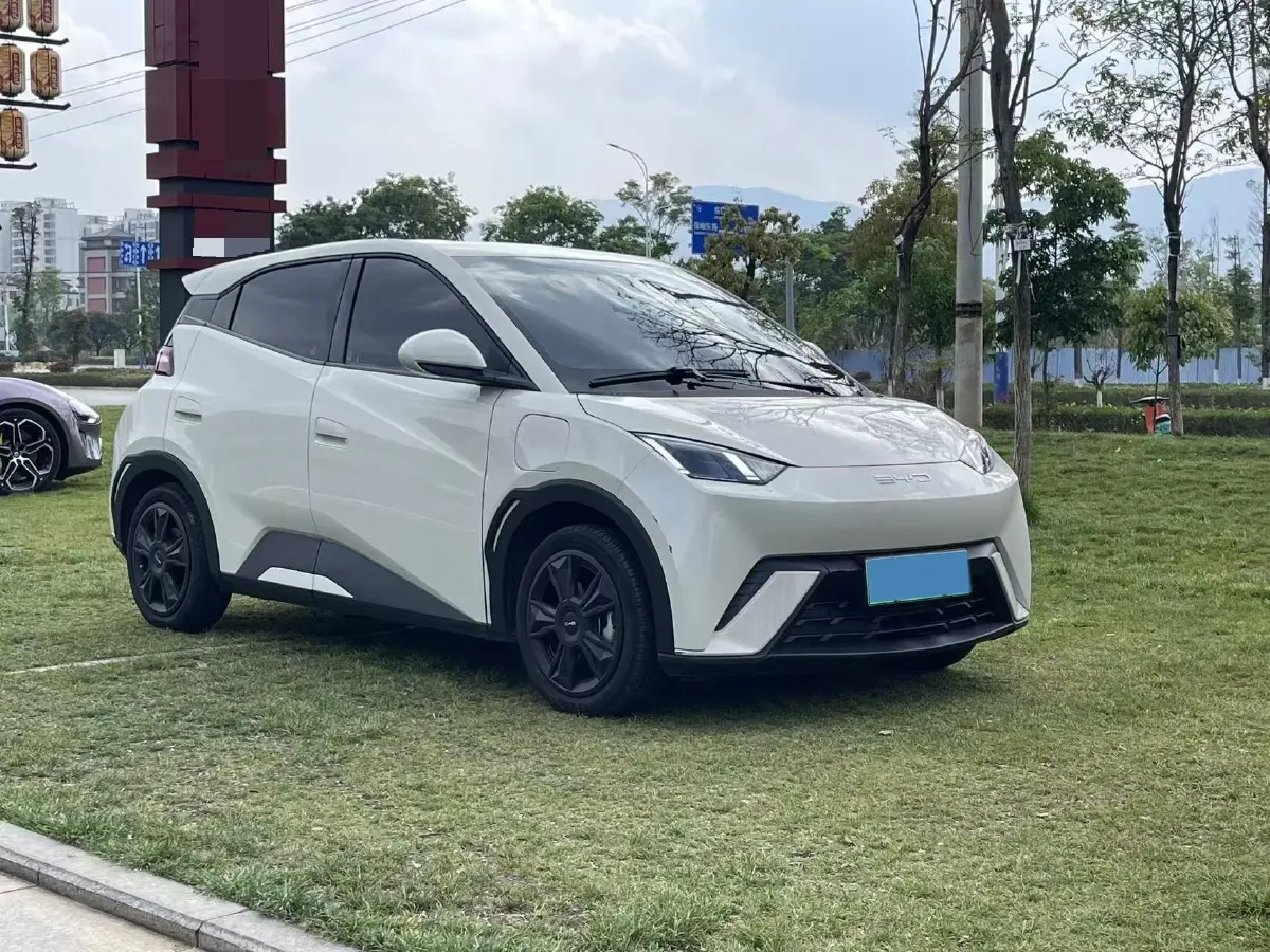 2024 BYD Seagull BEV 30.08KWH,autocango,china used car exporter,china ev exporter,chinese used car exporter,chinese used ev exporter