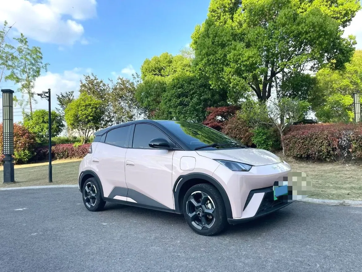 2024 BYD Seagull BEV 30.08KWH,autocango,china used car exporter,china ev exporter,chinese used car exporter,chinese used ev exporter