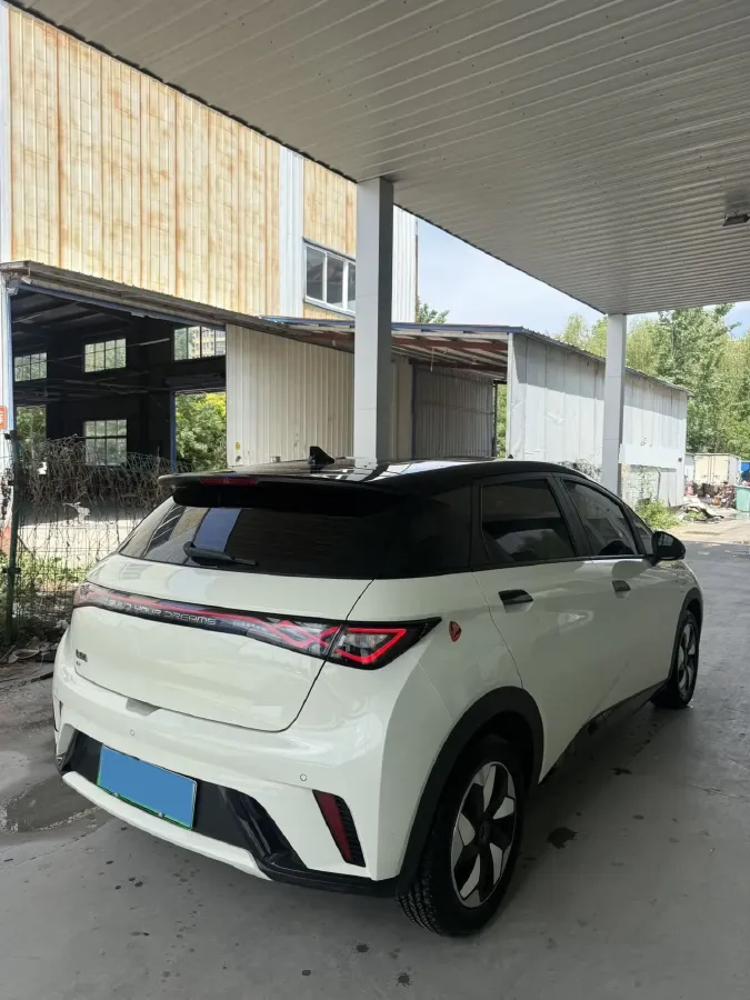 2024 BYD Dolphin BEV 44.928KWH,autocango,china used car exporter,china ev exporter,chinese used car exporter,chinese used ev exporter