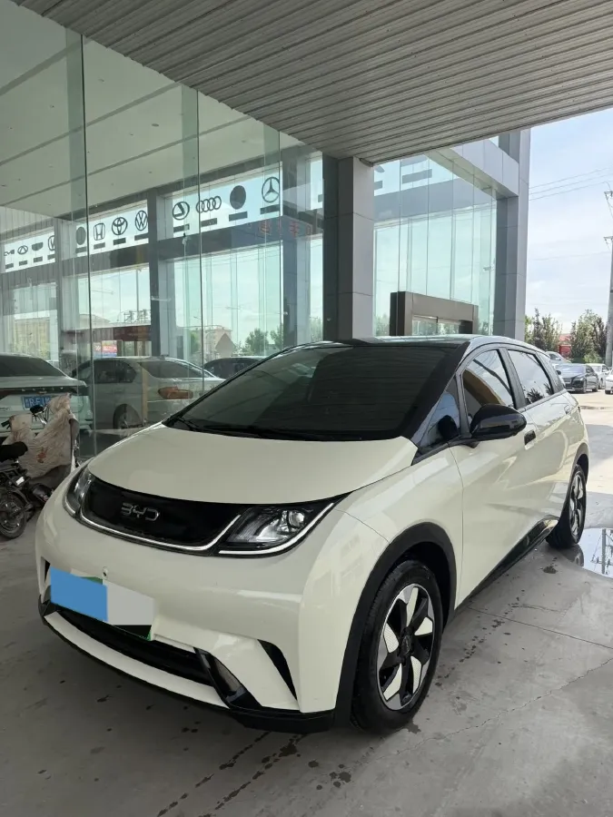 2024 BYD Dolphin BEV 44.928KWH,autocango,china used car exporter,china ev exporter,chinese used car exporter,chinese used ev exporter