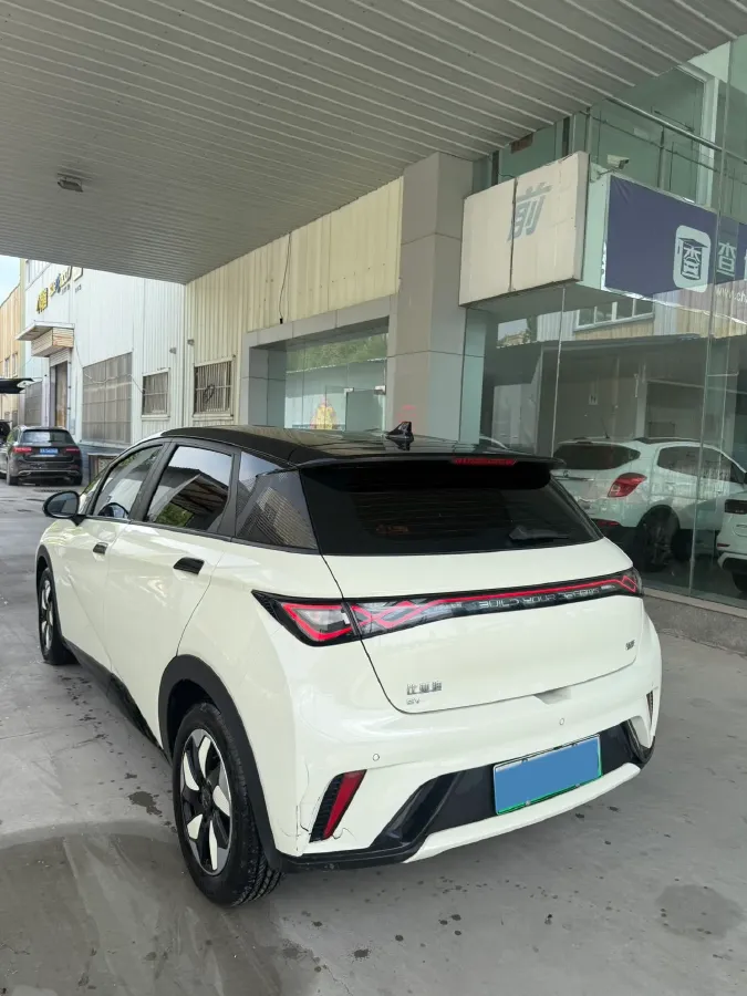 2024 BYD Dolphin BEV 44.928KWH,autocango,china used car exporter,china ev exporter,chinese used car exporter,chinese used ev exporter