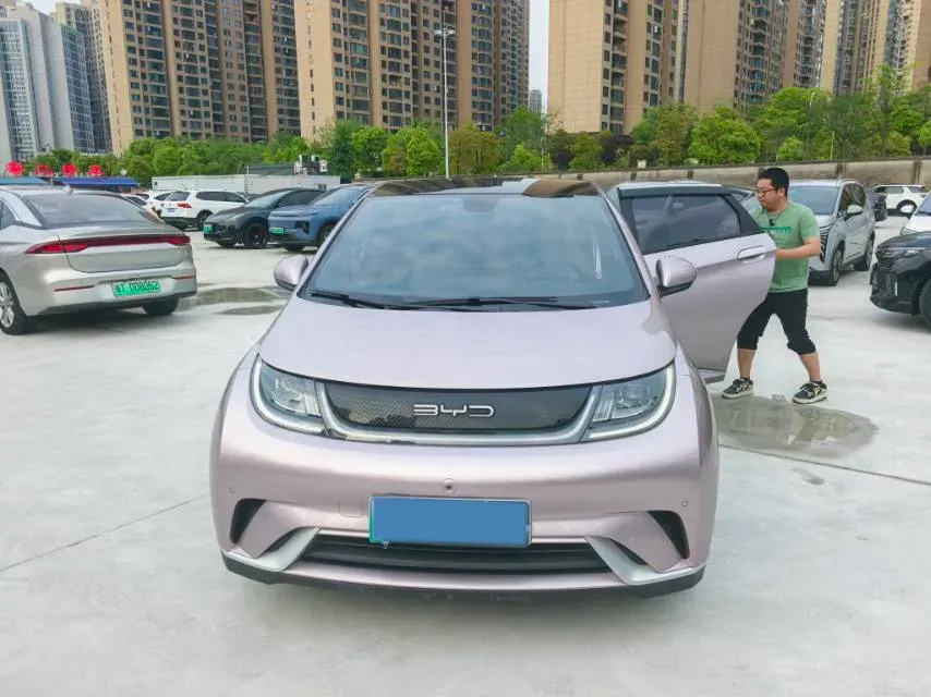 2023 BYD Dolphin BEV 44.928KWH,autocango,china used car exporter,china ev exporter,chinese used car exporter,chinese used ev exporter