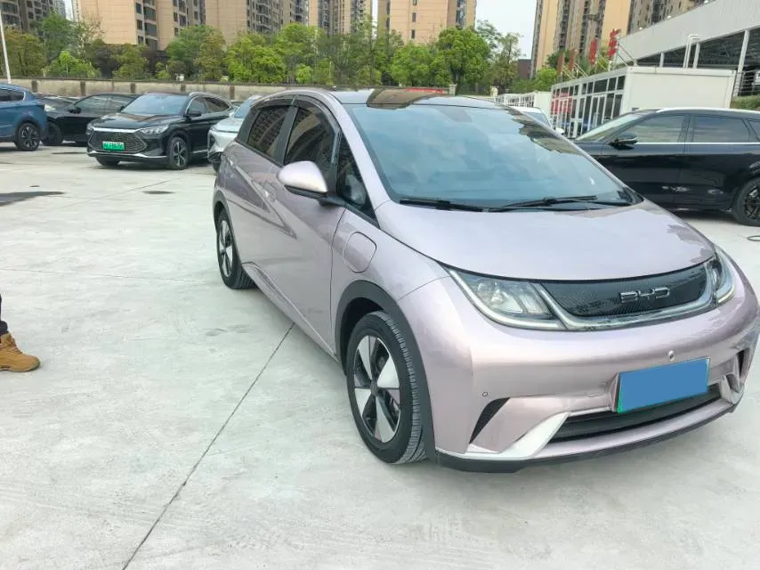 2023 BYD Dolphin BEV 44.928KWH,autocango,china used car exporter,china ev exporter,chinese used car exporter,chinese used ev exporter