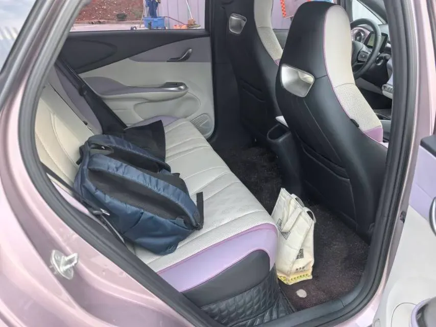 2023 BYD Dolphin BEV 44.928KWH,autocango,china used car exporter,china ev exporter,chinese used car exporter,chinese used ev exporter