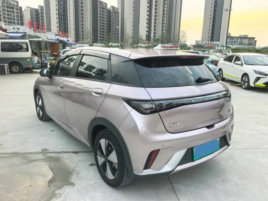 2023 BYD Dolphin BEV 44.928KWH,autocango,china used car exporter,china ev exporter,chinese used car exporter,chinese used ev exporter