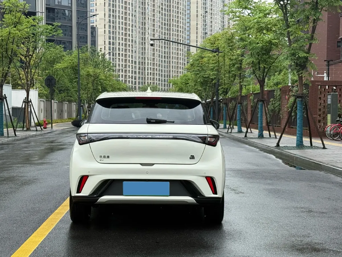 2023 BYD Dolphin BEV 44.928KWH,autocango,china used car exporter,china ev exporter,chinese used car exporter,chinese used ev exporter