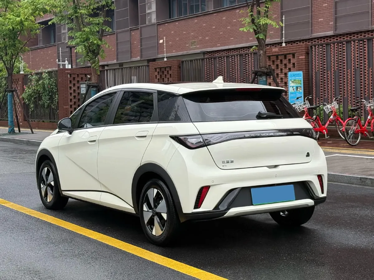 2023 BYD Dolphin BEV 44.928KWH,autocango,china used car exporter,china ev exporter,chinese used car exporter,chinese used ev exporter