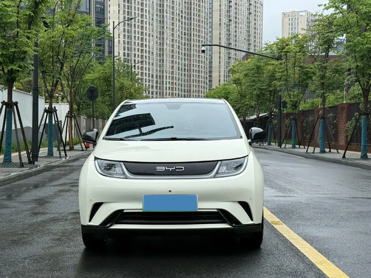 2023 BYD Dolphin BEV 44.928KWH,autocango,china used car exporter,china ev exporter,chinese used car exporter,chinese used ev exporter