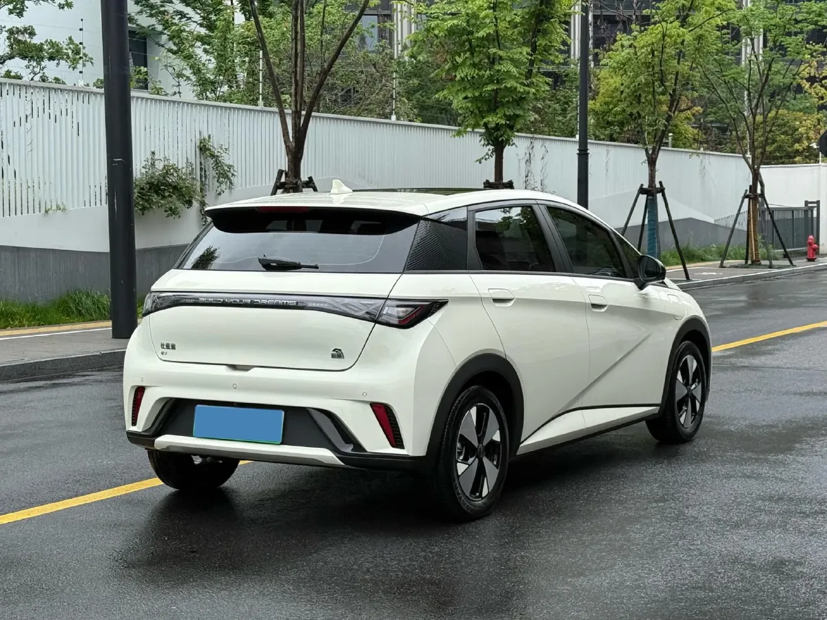 2023 BYD Dolphin BEV 44.928KWH,autocango,china used car exporter,china ev exporter,chinese used car exporter,chinese used ev exporter