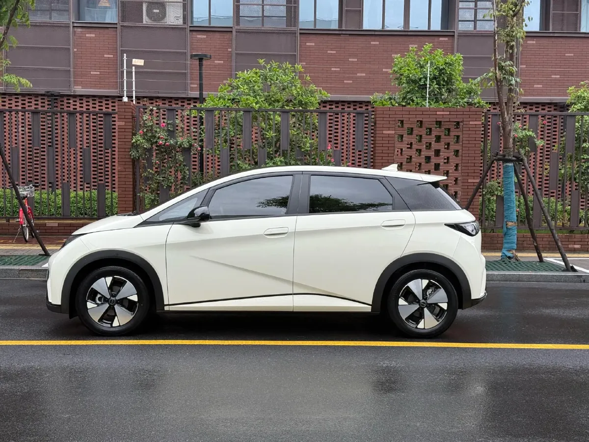 2023 BYD Dolphin BEV 44.928KWH,autocango,china used car exporter,china ev exporter,chinese used car exporter,chinese used ev exporter