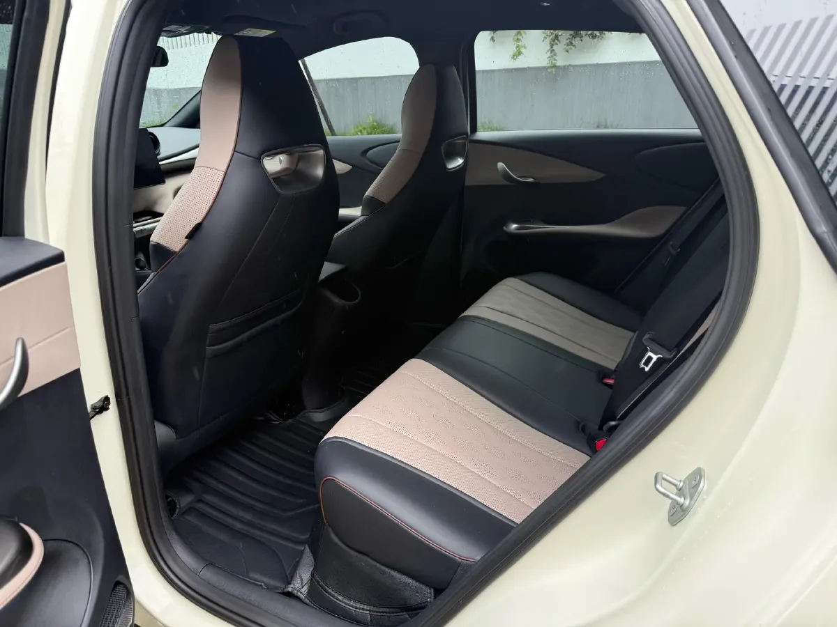 2023 BYD Dolphin BEV 44.928KWH,autocango,china used car exporter,china ev exporter,chinese used car exporter,chinese used ev exporter