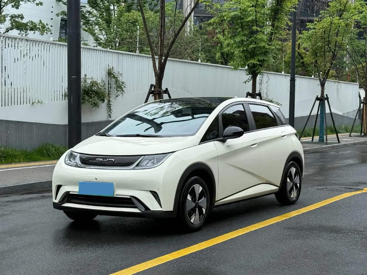 2023 BYD Dolphin BEV 44.928KWH,autocango,china used car exporter,china ev exporter,chinese used car exporter,chinese used ev exporter