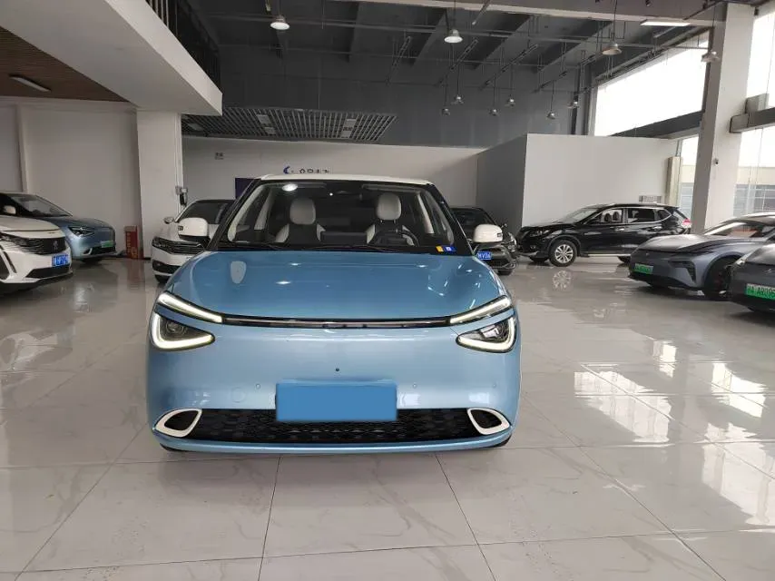 2024 DongFeng eπ 01 BEV 42.3KWH,autocango,china used car exporter,china ev exporter,chinese used car exporter,chinese used ev exporter