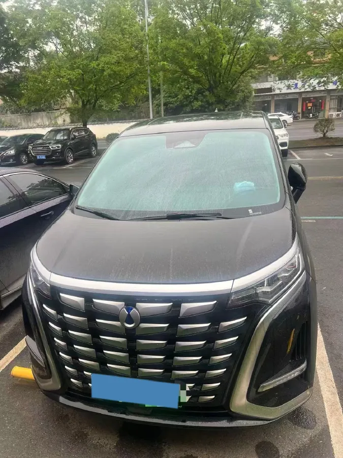 2024 Denza D9 1.5T 139HP L4 E-CVT PHEV 40KWH,autocango,china used car exporter,china ev exporter,chinese used car exporter,chinese used ev exporter
