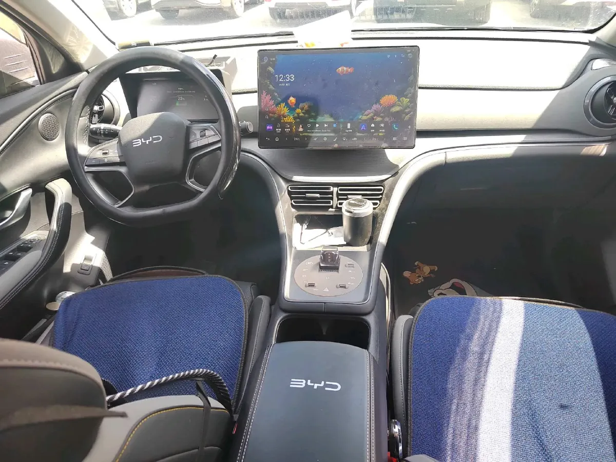 2025 BYD Sea Lion 05 DM-i 1.5L 101HP L4 E-CVT PHEV 18.3KWH,autocango,china used car exporter,china ev exporter,chinese used car exporter,chinese used ev exporter