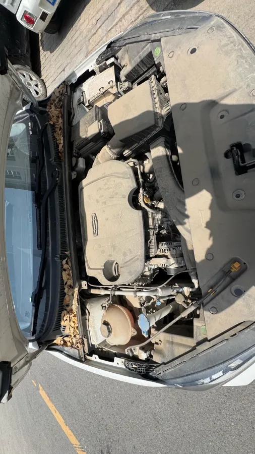 2022 Geely Binray 1.5T 181HP L4 7DCT,autocango,china used car exporter,china ev exporter,chinese used car exporter,chinese used ev exporter