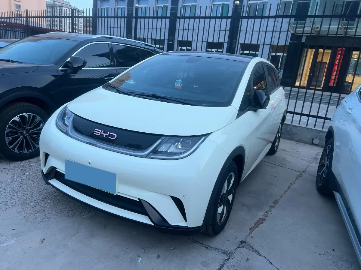 2024 BYD Dolphin BEV 44.928KWH,autocango,china used car exporter,china ev exporter,chinese used car exporter,chinese used ev exporter