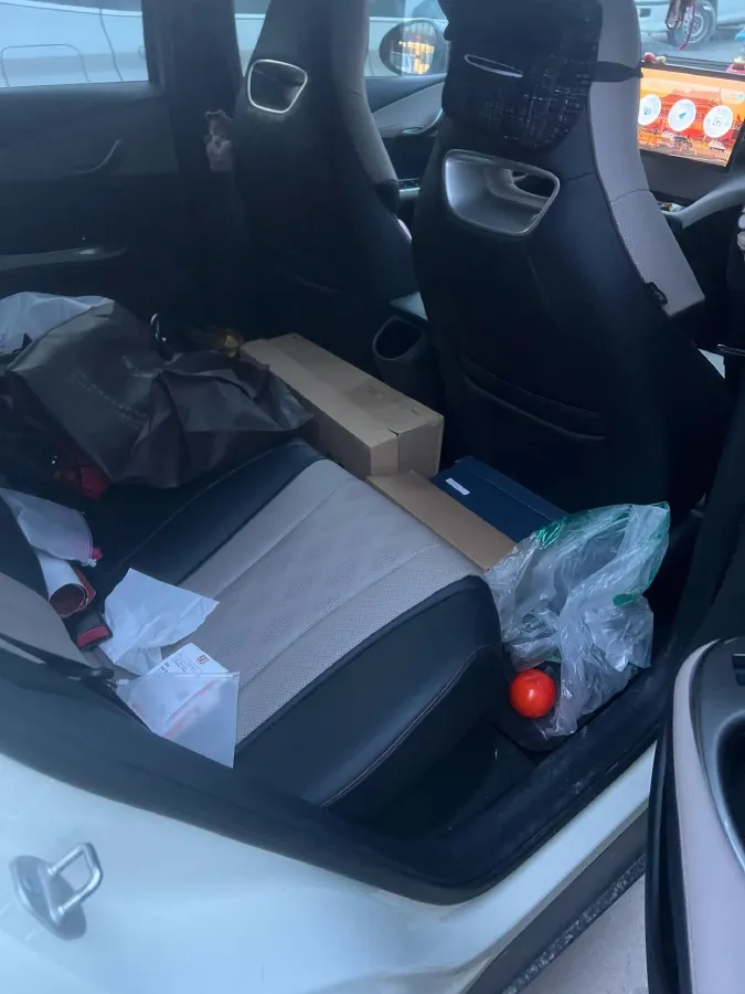 2024 BYD Dolphin BEV 44.928KWH,autocango,china used car exporter,china ev exporter,chinese used car exporter,chinese used ev exporter