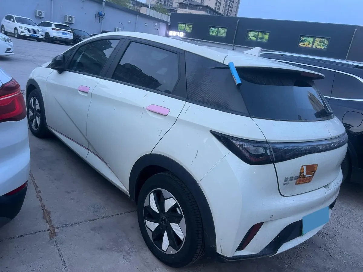 2024 BYD Dolphin BEV 44.928KWH,autocango,china used car exporter,china ev exporter,chinese used car exporter,chinese used ev exporter
