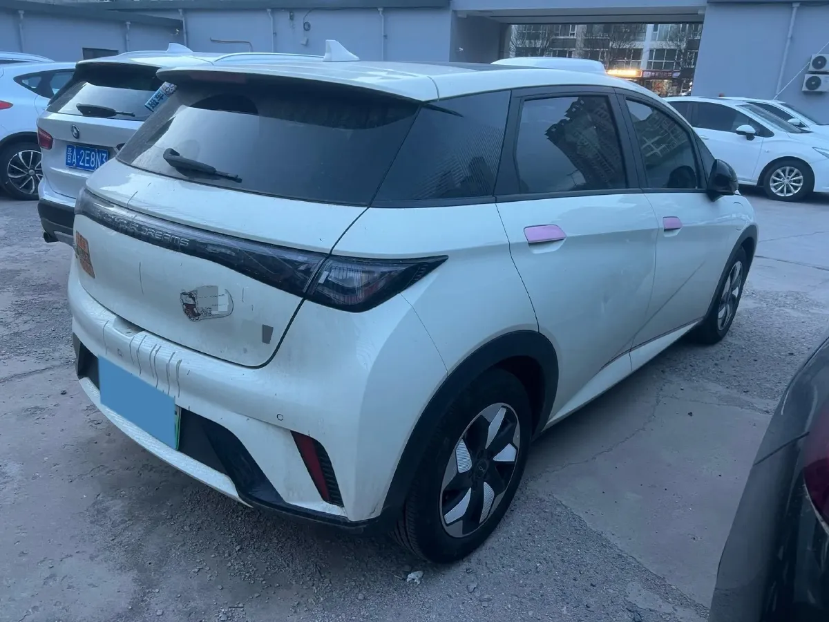 2024 BYD Dolphin BEV 44.928KWH,autocango,china used car exporter,china ev exporter,chinese used car exporter,chinese used ev exporter