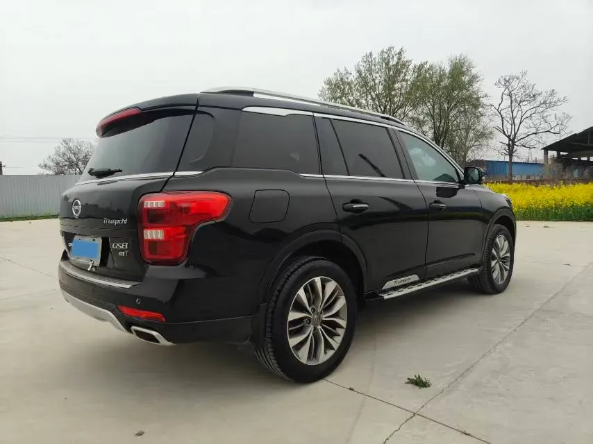 2021 GAC Trumpchi GS8 2.0T 252HP L4 6AT,autocango,china used car exporter,china ev exporter,chinese used car exporter,chinese used ev exporter