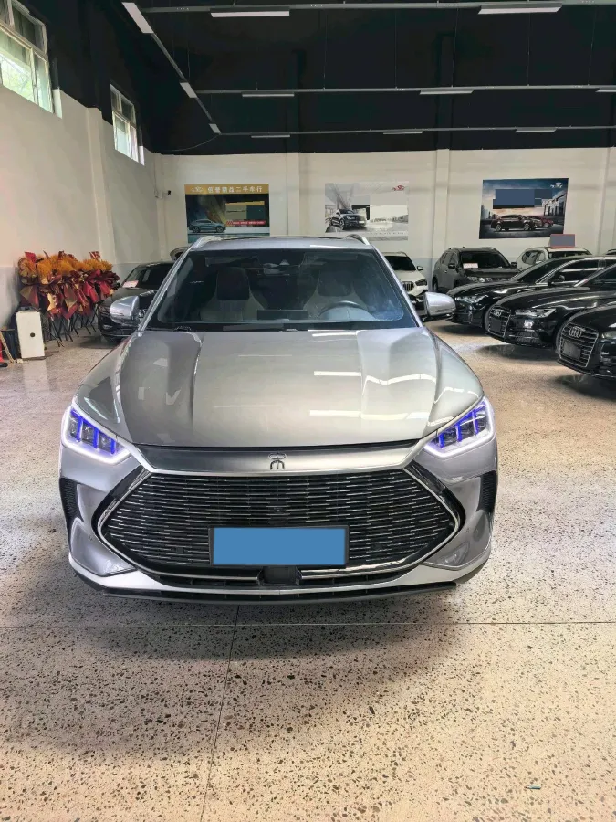 2021 SRM Sea Lion EV BEV 41.86KWH,autocango,china used car exporter,china ev exporter,chinese used car exporter,chinese used ev exporter