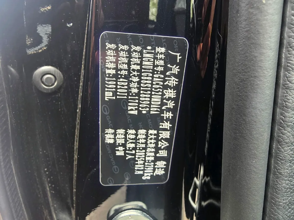 2024 GAC Trumpchi M8 2.0T 252HP L4 8AT,autocango,china used car exporter,china ev exporter,chinese used car exporter,chinese used ev exporter