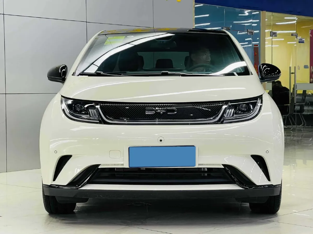 2024 BYD Dolphin BEV 44.928KWH,autocango,china used car exporter,china ev exporter,chinese used car exporter,chinese used ev exporter