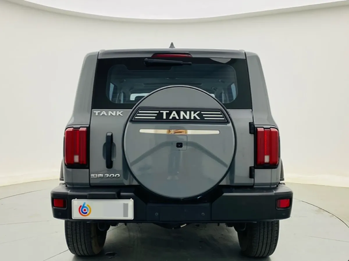 2023 Tank 300 2.0T 227HP L4 8AT,autocango,china used car exporter,china ev exporter,chinese used car exporter,chinese used ev exporter