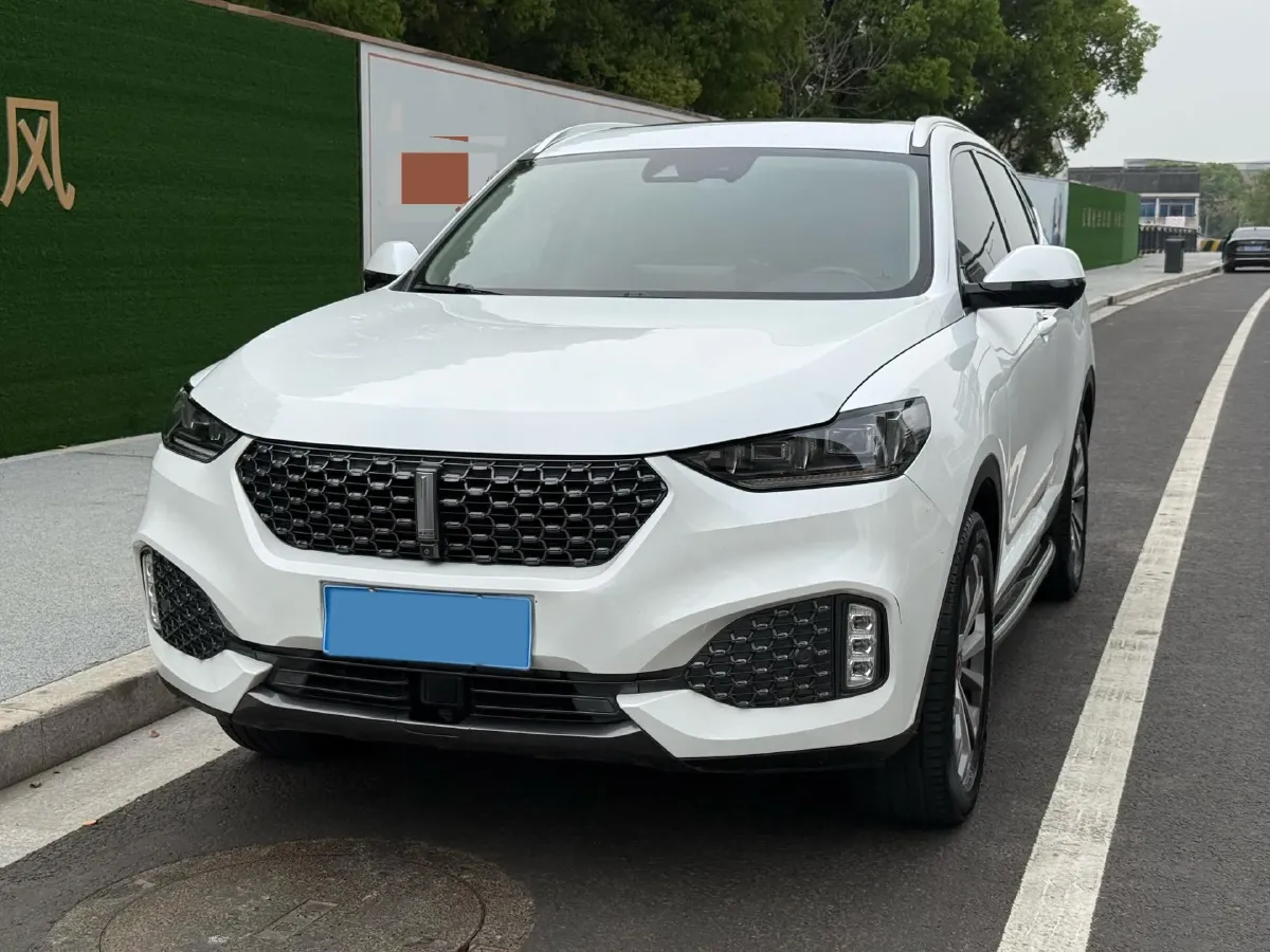 2020 WEY VV6 2.0T 227HP L4 7DCT,autocango,china used car exporter,china ev exporter,chinese used car exporter,chinese used ev exporter