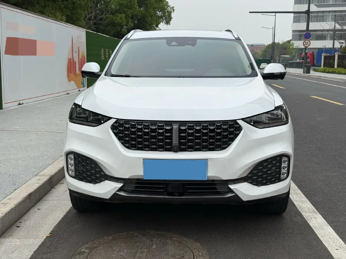 2020 WEY VV6 2.0T 227HP L4 7DCT,autocango,china used car exporter,china ev exporter,chinese used car exporter,chinese used ev exporter
