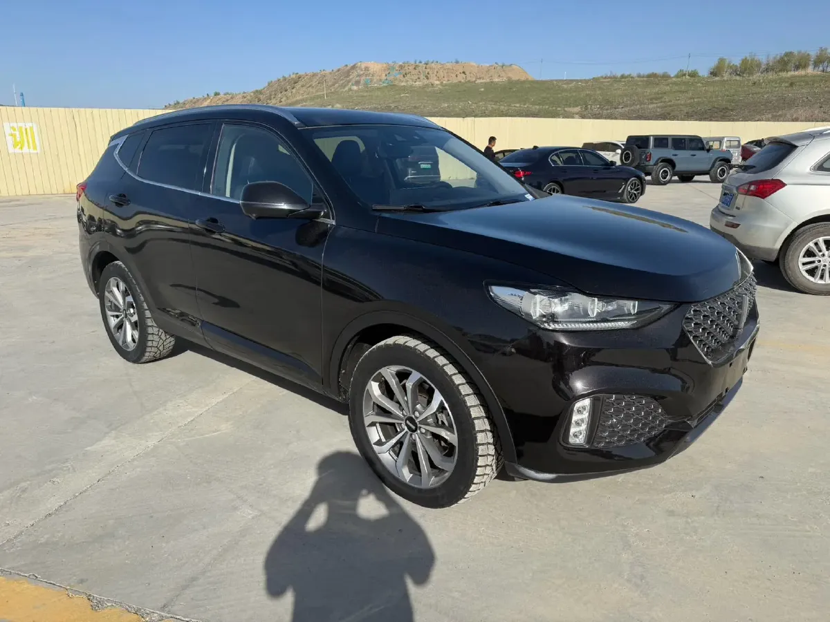 2020 WEY VV6 2.0T 227HP L4 7DCT,autocango,china used car exporter,china ev exporter,chinese used car exporter,chinese used ev exporter