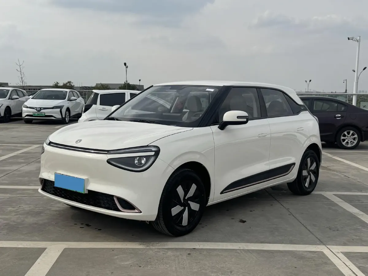 2024 DongFeng eπ 01 BEV 31.45KWH,autocango,china used car exporter,china ev exporter,chinese used car exporter,chinese used ev exporter