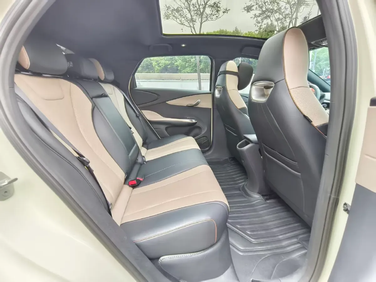 2023 BYD Dolphin BEV 44.928KWH,autocango,china used car exporter,china ev exporter,chinese used car exporter,chinese used ev exporter