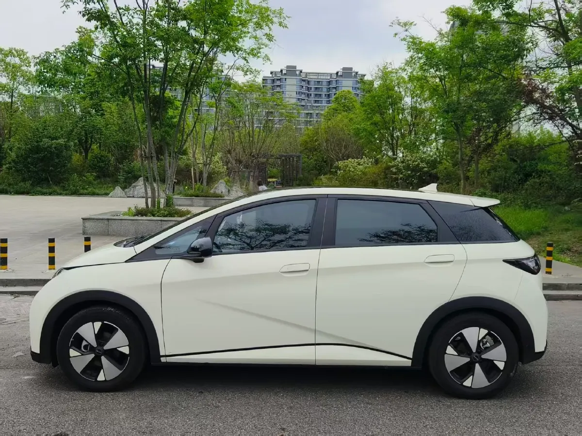 2023 BYD Dolphin BEV 44.928KWH,autocango,china used car exporter,china ev exporter,chinese used car exporter,chinese used ev exporter